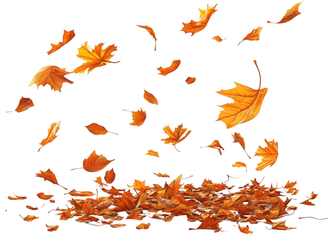 Falling autumn leaves on transparent background png