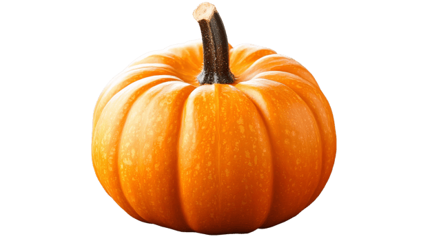 Orange pumpkin on transparent background png
