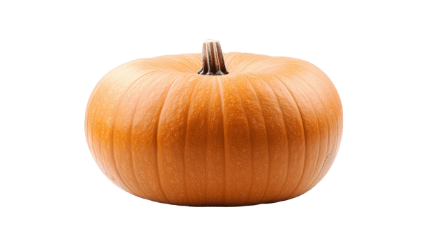 Pumpkin orange vegetable on transparent background png