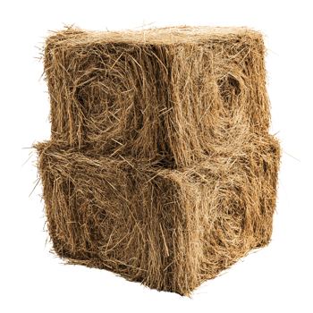 Hay bales cube stacked on transparent background png