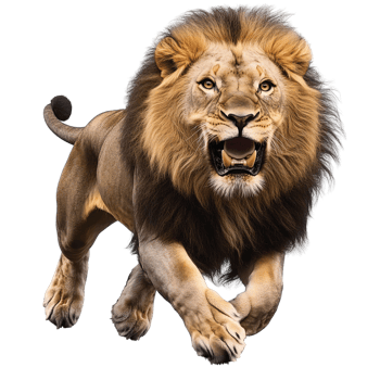 Majestic roaring lion running on transparent background png