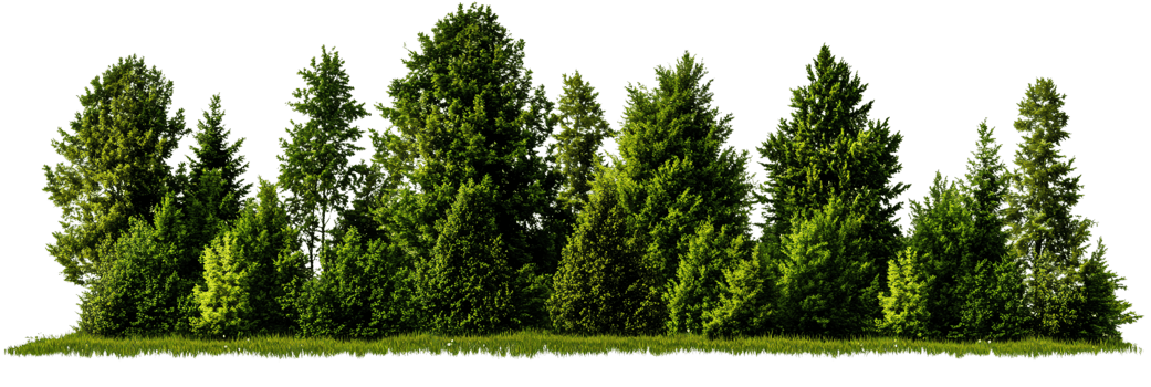 Green forest trees row on transparent background png