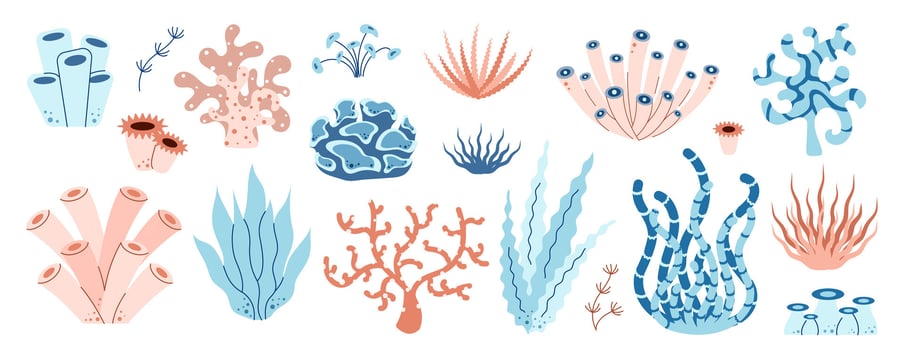 Set of seaweed, coral, reef, algae, sea plants. Ocean underwater theme. Flat illustration vector