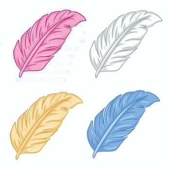 Feathers set isolated on a white background. illustration. vector