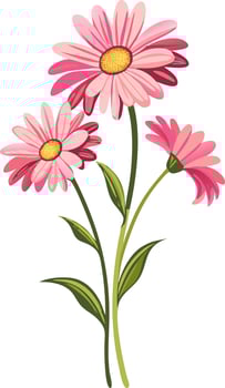 Colorful Pink Daisies Art Floral Design for Botanical Projects vector