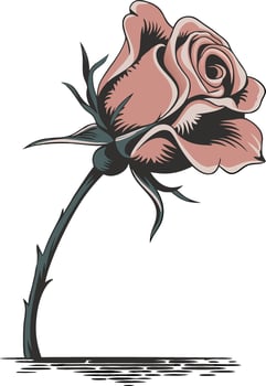 Elegant Pink Rose Illustration for Decorative Designs and Printing vector