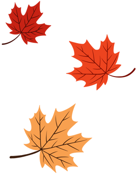 Orange maple leaf png