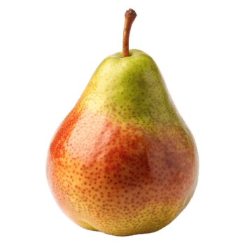 pear with a red and green pear on the bottom png