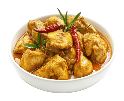Spicy Chicken Curry Isolated on Transparent Background png