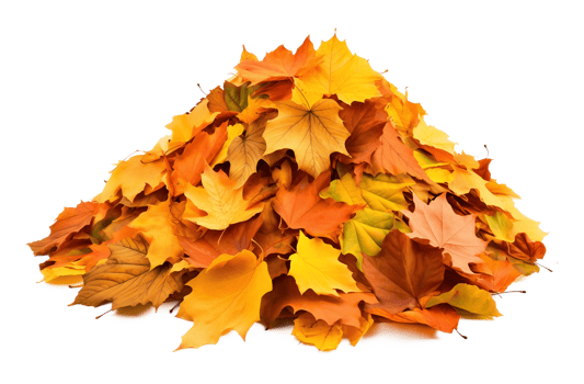 Pile of Autumn Leaves Isolated on Transparent Background png