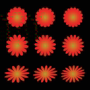 colorful red flower shape collection vector