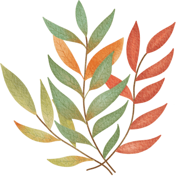 A watercolor illustration of colorful leaves in shades of green, orange organic pattern. png