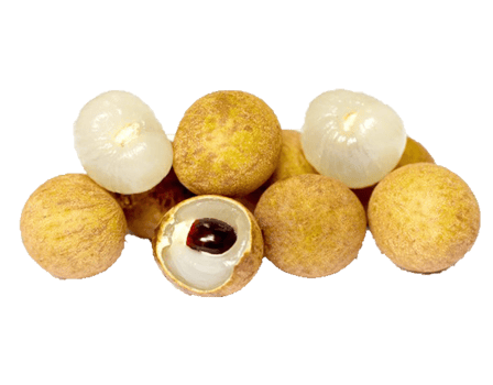 longan tropical fruit 2 png