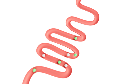 Human Gut Model Digestive System Or Intestinal Tract Mockup With Balls Rolling Down 3D Illustration png