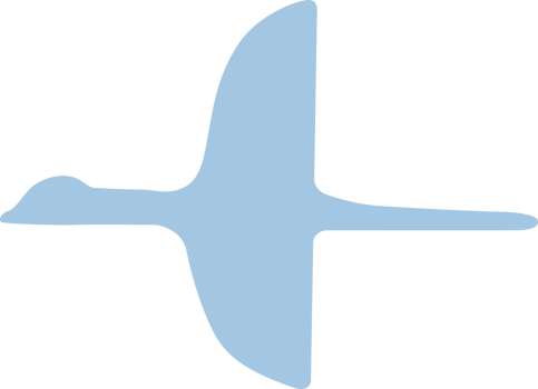 A silhouette of bird png