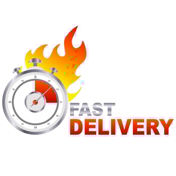 Express delivery icon. Delivery concept. illustration. vector