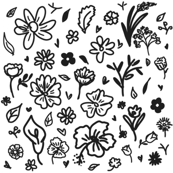 hand drawn black and white flowers seamless pattern png