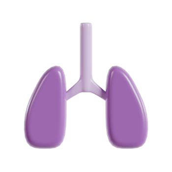 A stylized illustration of human lungs in purple color. png