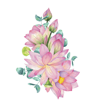 Pink lotus flower with bud and eucalyptus branches. Isolated on background Watercolor illustration. Composition For design, decor and printing, souvenirs and postcards, typography png