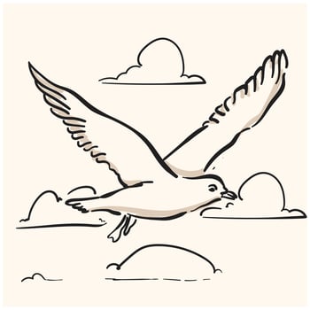 Australian seagull With illustration style doodle and line art vector