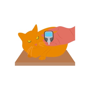 Checking Diabetes Flat Illustration vector