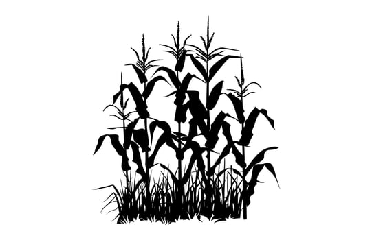 Corn Stalk Clipart Silhouette vector