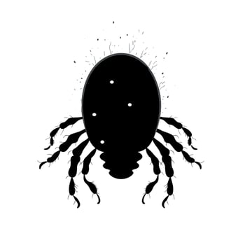 Illustration of a black silhouette of a spider with detailed legs and body features vector