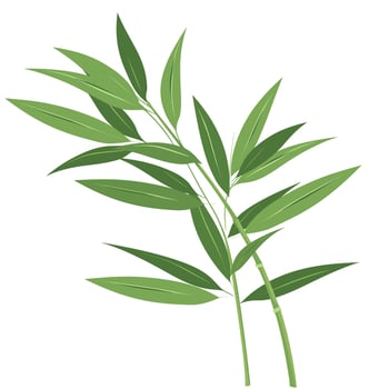 Fresh green bamboo leaves arranged gracefully on a white background vector