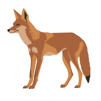 Illustration of a standing fox in a natural pose against a simple background vector