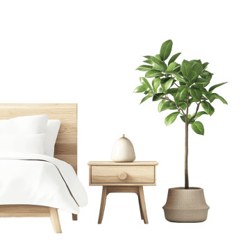 Cozy bedroom corner featuring a potted plant beside a minimalist nightstand and a comfortable bed setup, Bedroom ting with Potted Plant and Nightstand on transparent background png