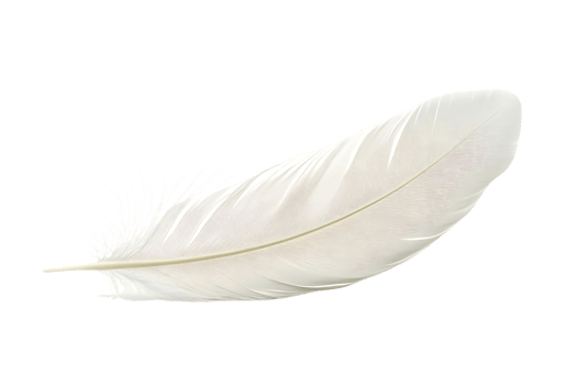 White Feather floats on Black Background, Design Element, Graphic Resource, Perfect for Projects png