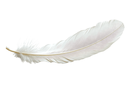 White Feather floats Gently on Black Background, Ideal for Design Projects. png