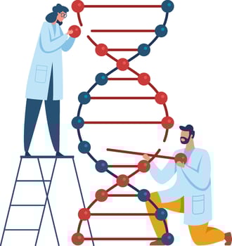 Two scientists building a dna model are conducting genetic research, exploring the field of biotechnology and making advancements in science vector