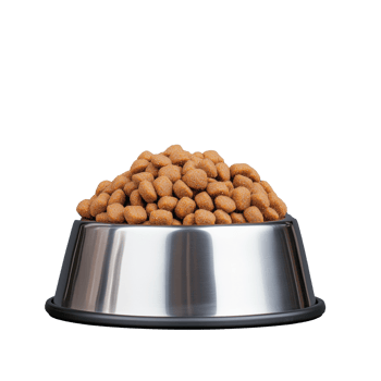 Dog Food Bowl Filled with Kibble on Transparent Background png