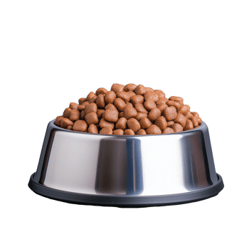 Dog food bowl filled with kibble on transparent background png