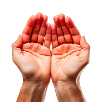 hands in the form of a heart png