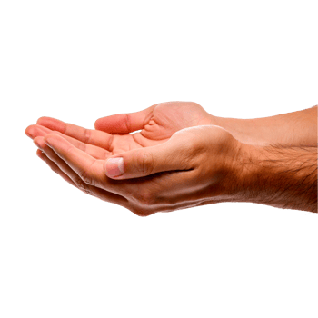 hands of a person png
