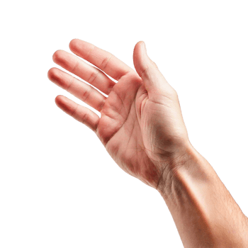 hands of the person png