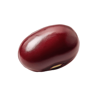 Isolated azuki bean on a transparent background showcasing its distinct reddish-brown color and smooth surface, Azuki Beanisolated on transparent background png