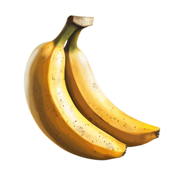 Fresh and ripe bananas isolated on a transparent background for culinary presentations or graphics, banana isolated on trnsparent png