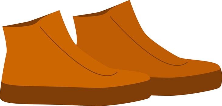 Pair of shoes for cold weather. vector