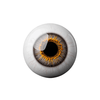 Eye illustration with detailed iris and pupil design on transparent background png