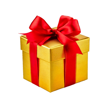 a gift with a red ribbon png