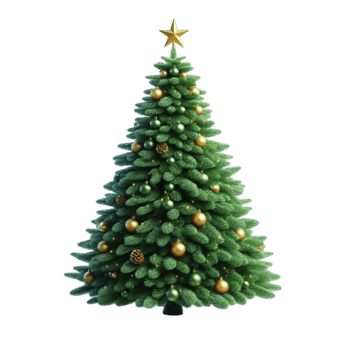 Christmas tree cutout with no backdrop png