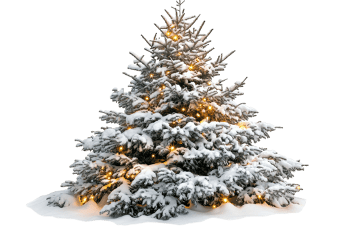 Snow-covered evergreen tree decorated with warm lights during winter season in a serene landscape png