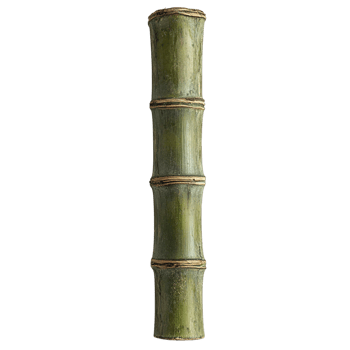 Fresh green bamboo stalk with visible nodes and natural texture png