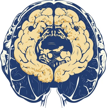 A vintage illustration of brain scan vector