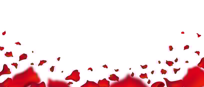 Rose petals raining for festive and romantic designs. vector