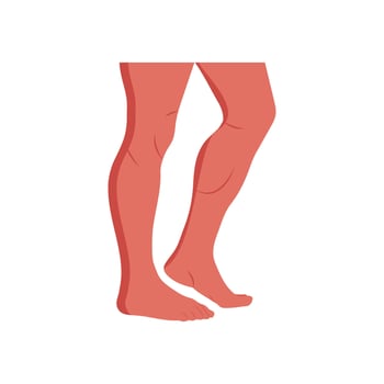 Legs, Human Body Part Illustration vector