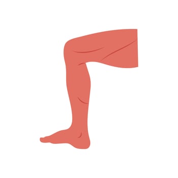 Thigh, Human Body Part Illustration vector